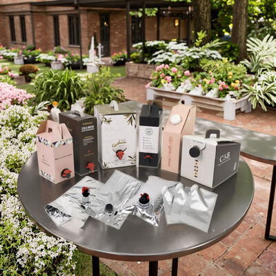 Sacos BIB personalizados em caixa com bico de torneira, ideais para embalar vinho, sumo, óleo e outros produtos líquidos