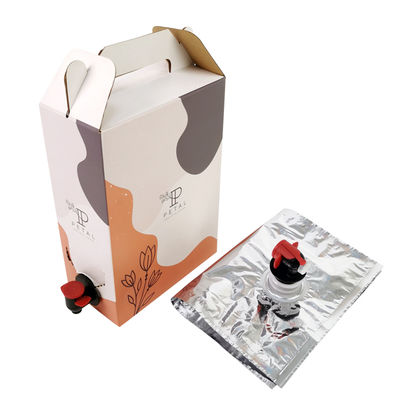 1L/2L/3L Caixa de café personalizada Caixa de café descartável em caixa com dispensador de válvula