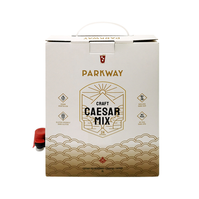 1L 1.5L 2L 3L 5L 96OZ BIB BAG Saco descartável em caixa CháSucos de café para ir Caixa de papel embalagem com dispensador
