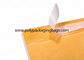 Custom Printed Kraft Paper Envelope With Button And String Closure